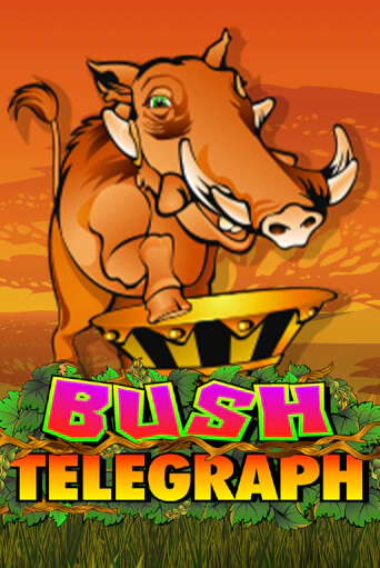 Bush Telegraph играть на фантики | Pin-Up бесплатно