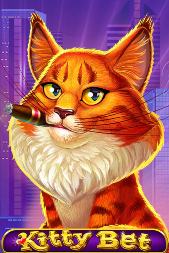 Kitty Bet играть на фантики | Pin-Up бесплатно