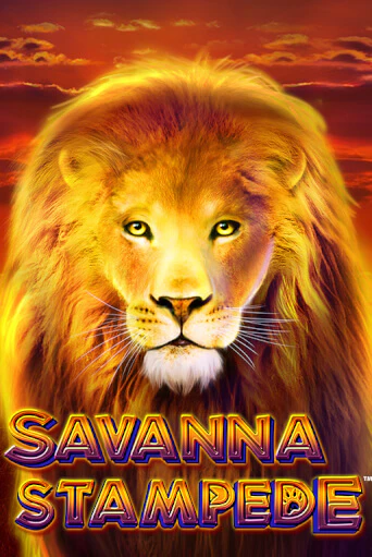 Savanna Stampede играть на фантики | Pin-Up бесплатно