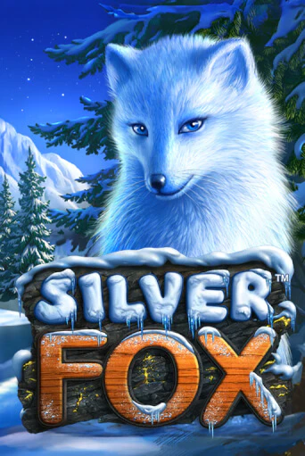 Silver Fox играть на фантики | Pin-Up бесплатно