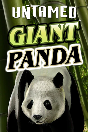 Untamed - Giant Panda играть на фантики | Pin-Up бесплатно