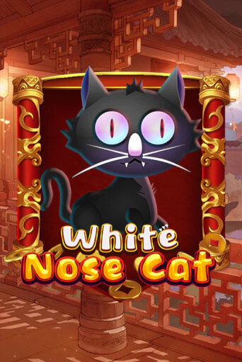 White Nose Cat играть на фантики | Pin-Up бесплатно