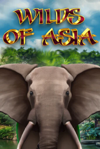 Wilds of Asia играть на фантики | Pin-Up бесплатно