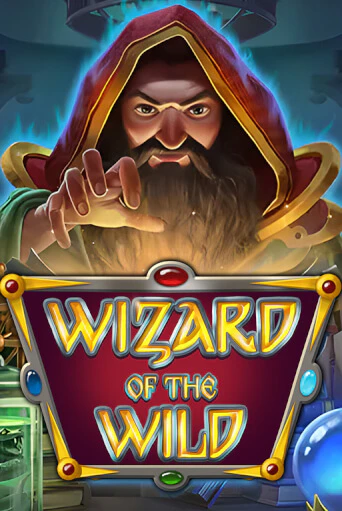 Wizard of the Wild играть на фантики | Pin-Up бесплатно