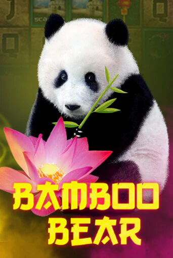 Bamboo Bear играть на фантики | Pin-Up бесплатно
