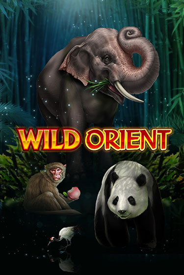 Wild Orient играть на фантики | Pin-Up бесплатно